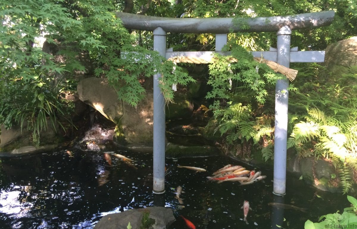 ⛩️ 아타고 신사(愛宕神社) 이미지 7